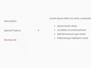 WooCommerce Product Tabs WordPress Plugin